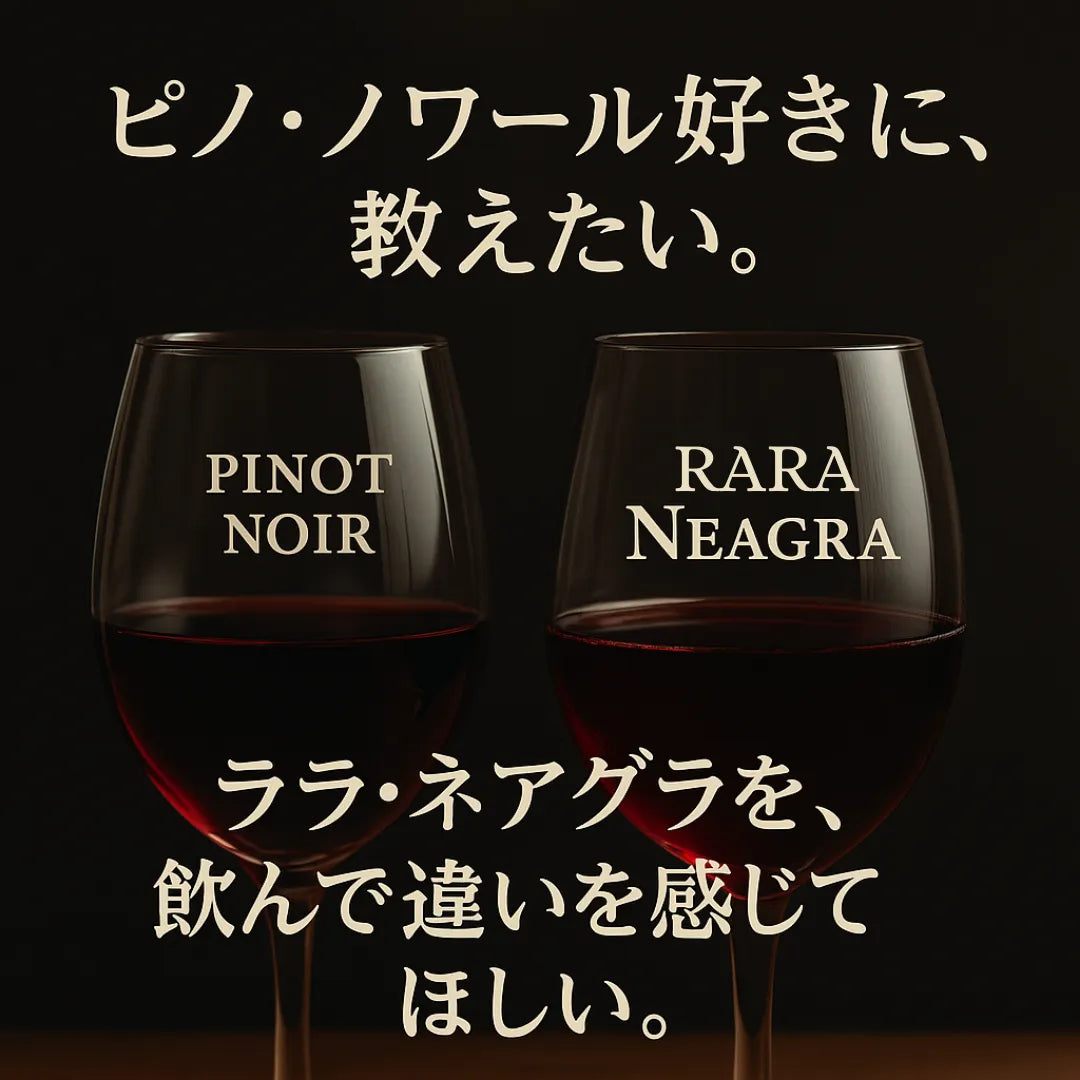 [送料無料】 まとめ買い特価 ララ・ネアグラ6本セット(ギフトボックス無し)