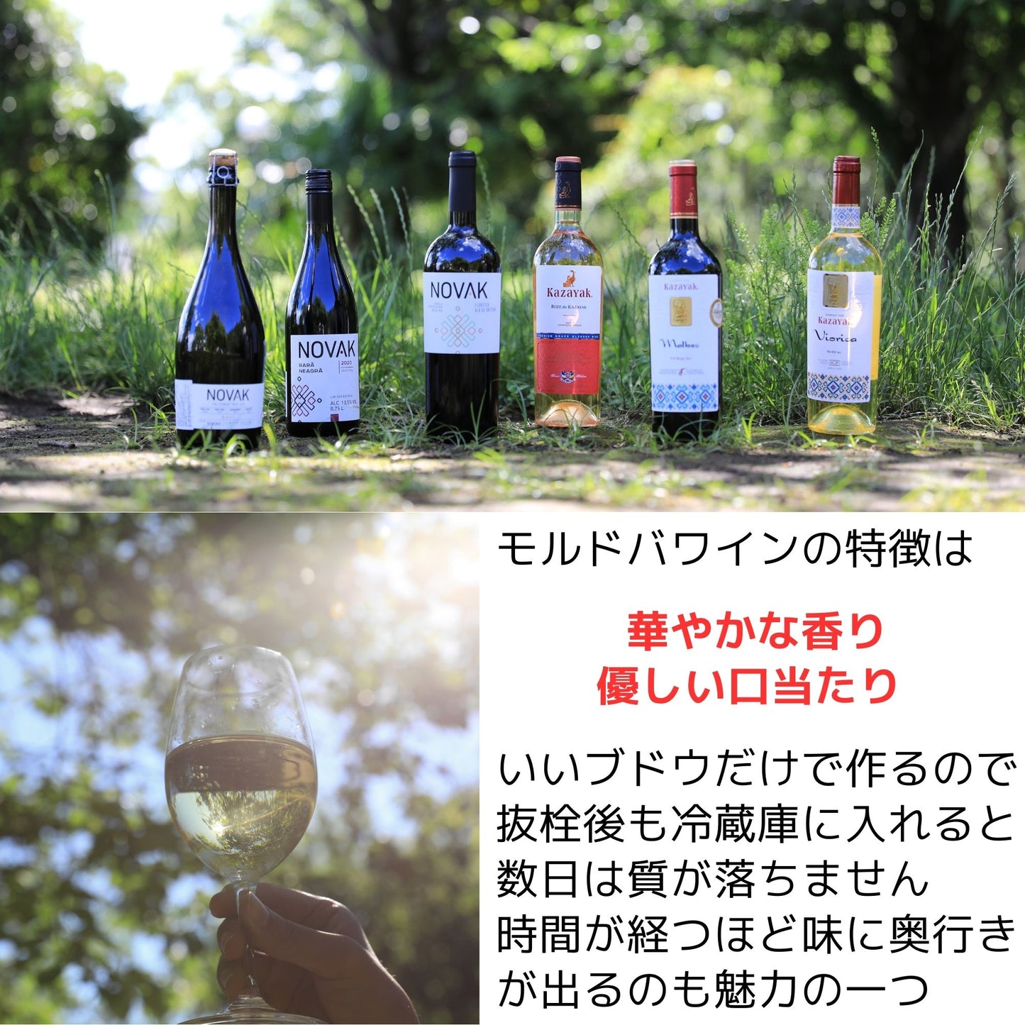 NOVAK サペラヴィ/フェテアスカ・ネアグラ(赤・ドライ)