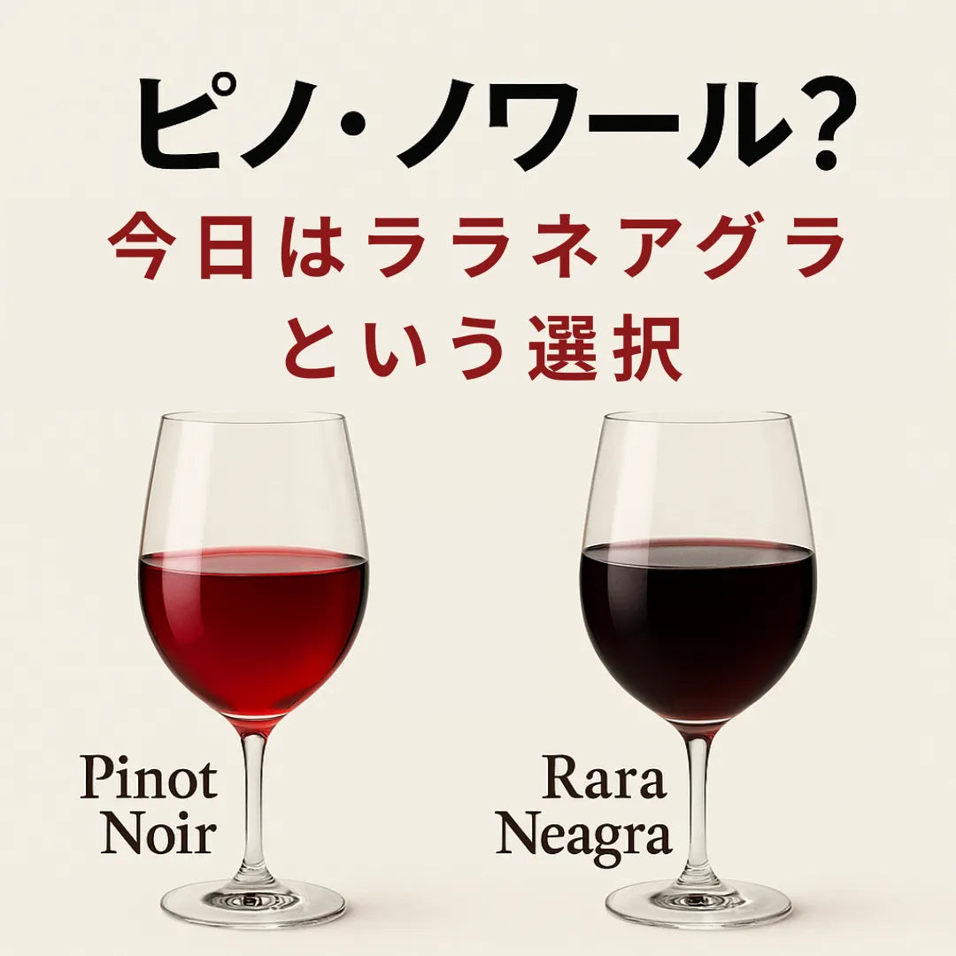 [送料無料】 まとめ買い特価 ララ・ネアグラ6本セット(ギフトボックス無し)