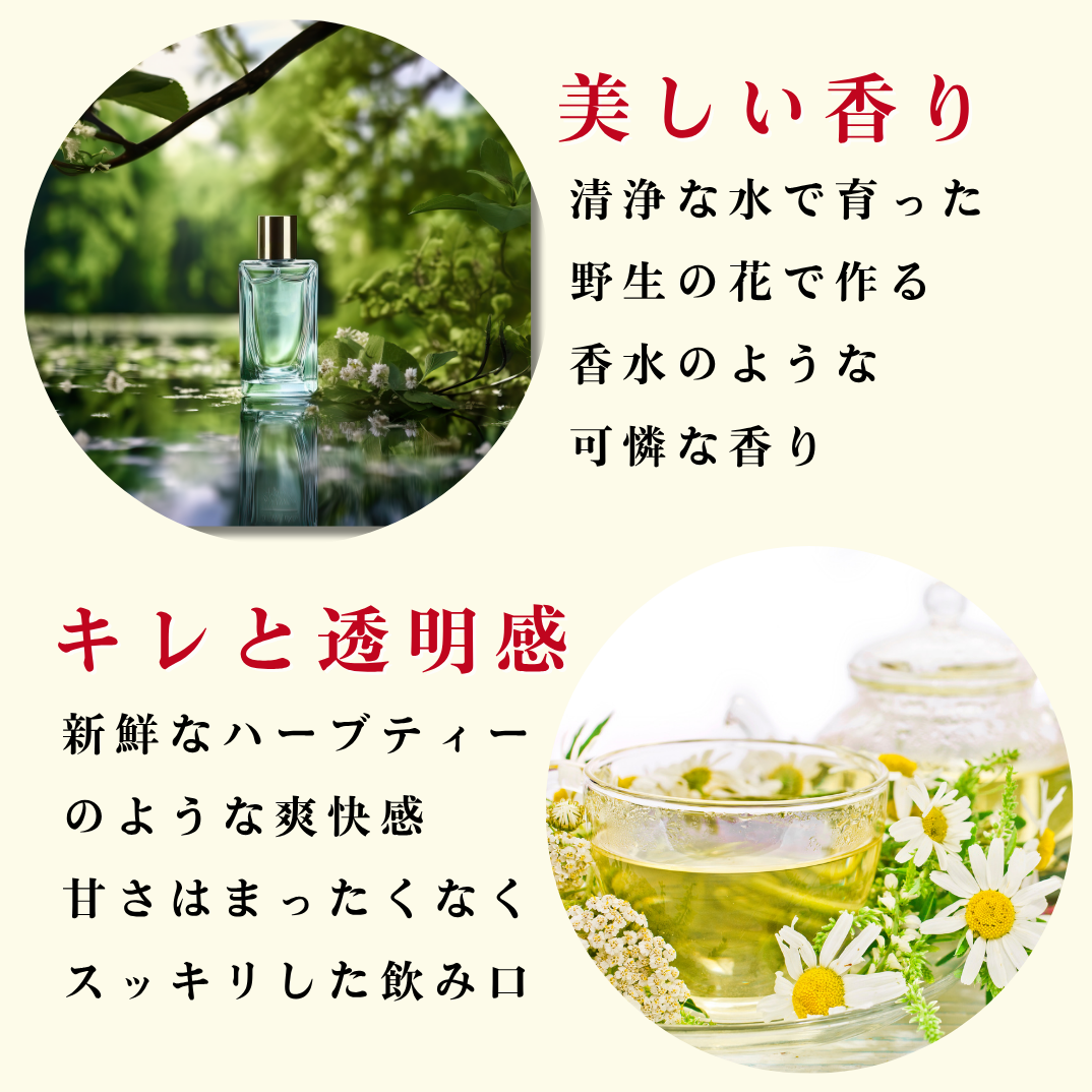 モルドバを知る最強の3本セット