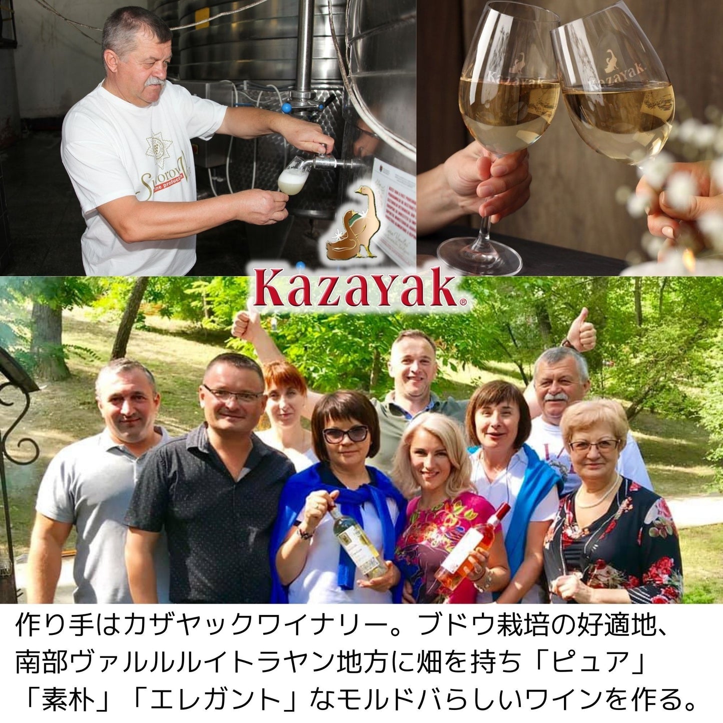 【再入荷】KAZAYAK ヴィオリカ(白・ドライ)