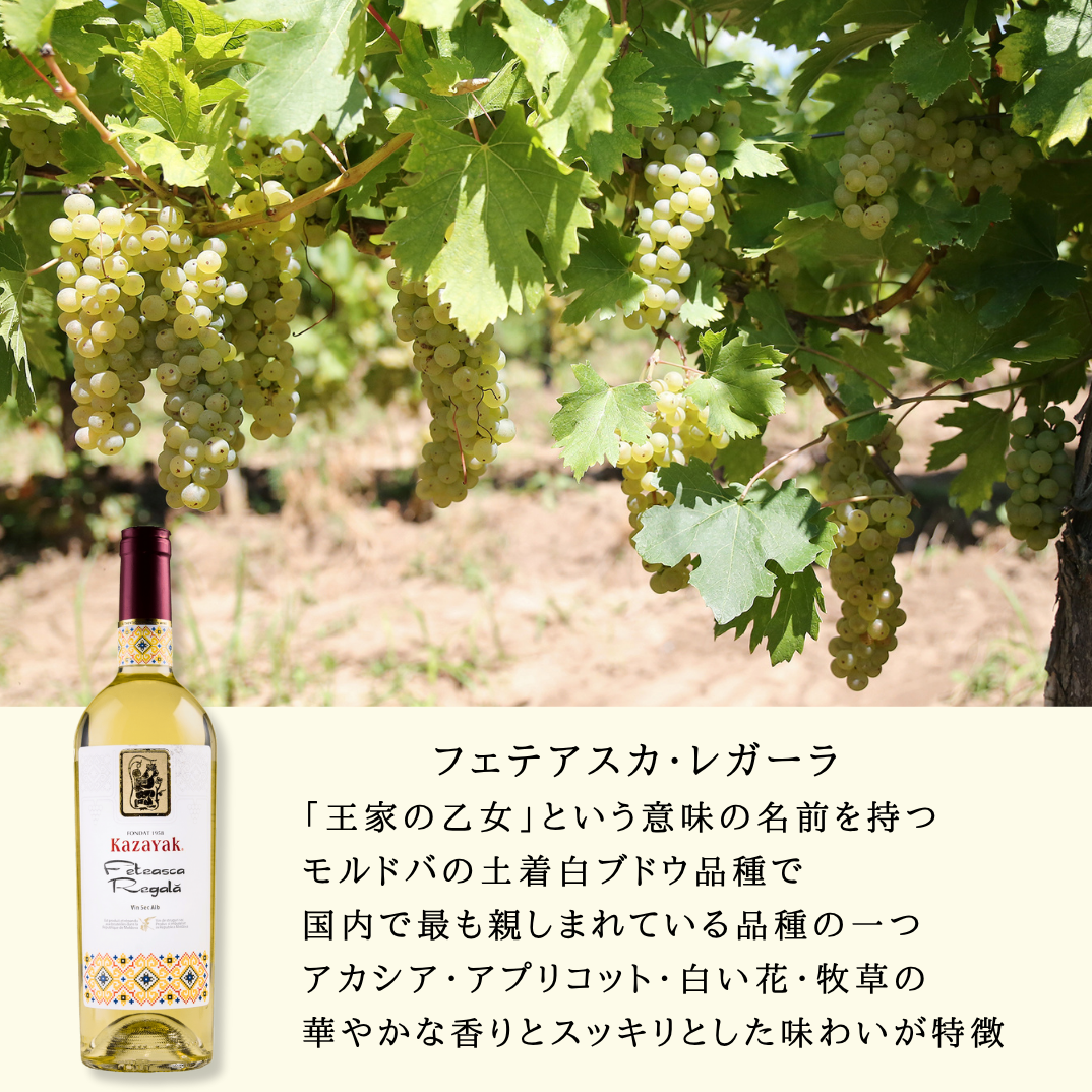 モルドバを知る最強の3本セット