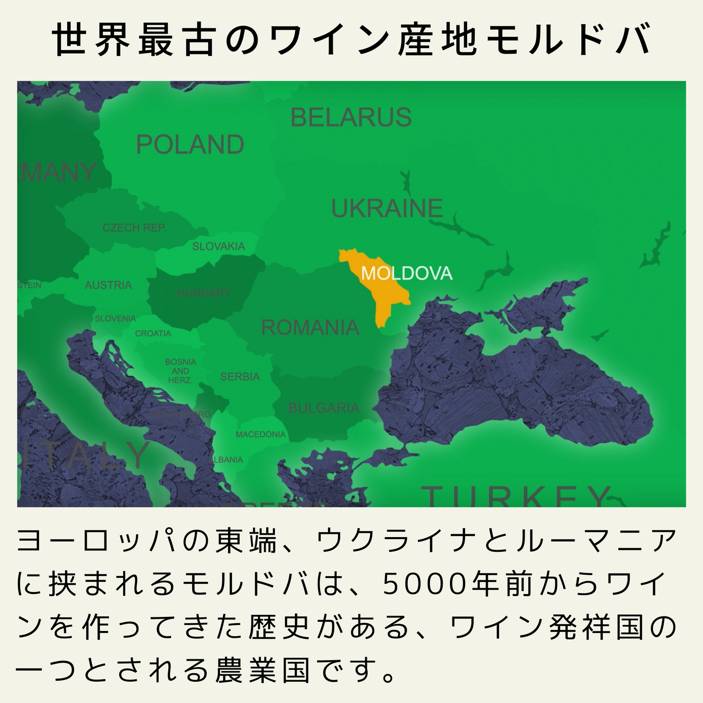 NOVAK スパークリングホワイト(泡・ドライ)