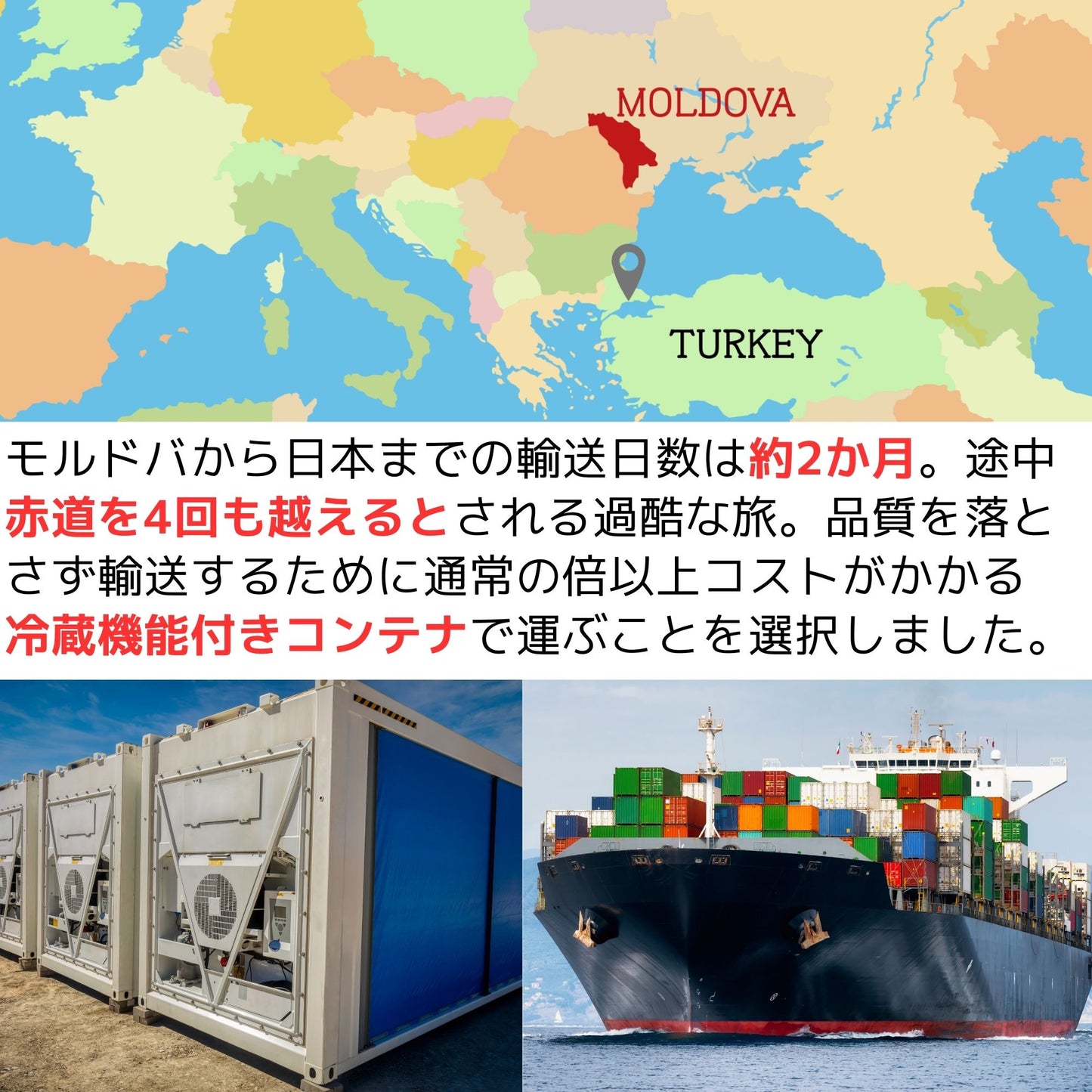 【再入荷】MALBEC(マルベック)(赤・ドライ)