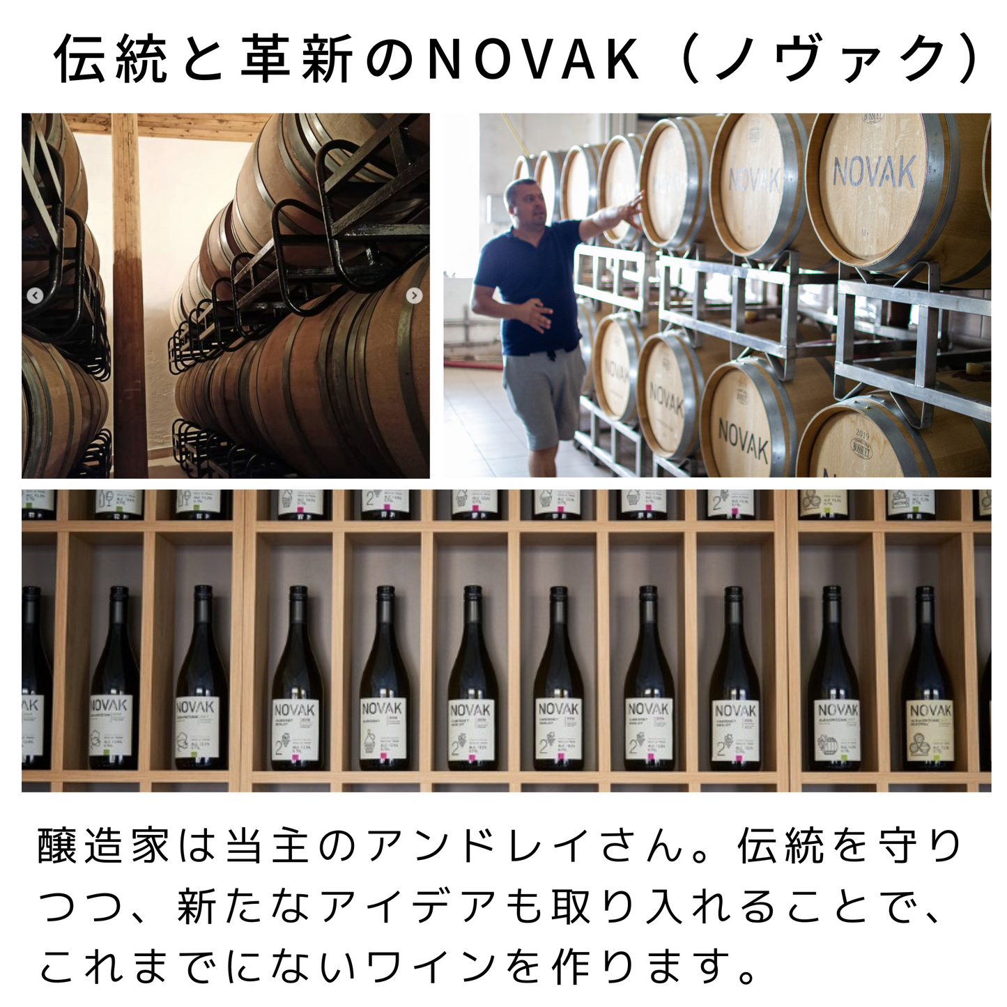 NOVAK スパークリングホワイト(泡・ドライ)