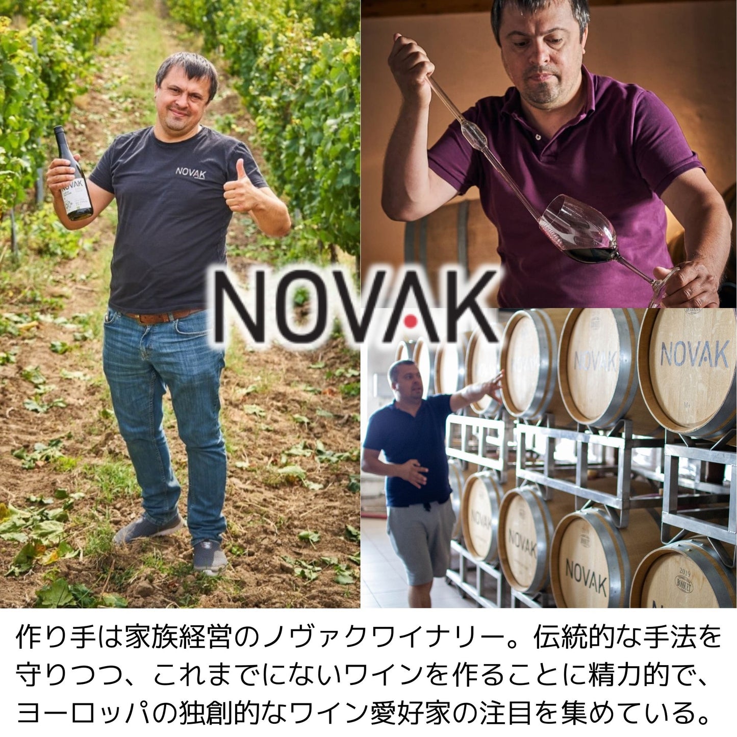 NOVAK サペラヴィ/フェテアスカ・ネアグラ(赤・ドライ)
