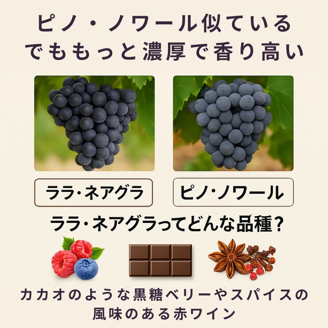 【期間限定特価】モルドバを知る最強の3本セット