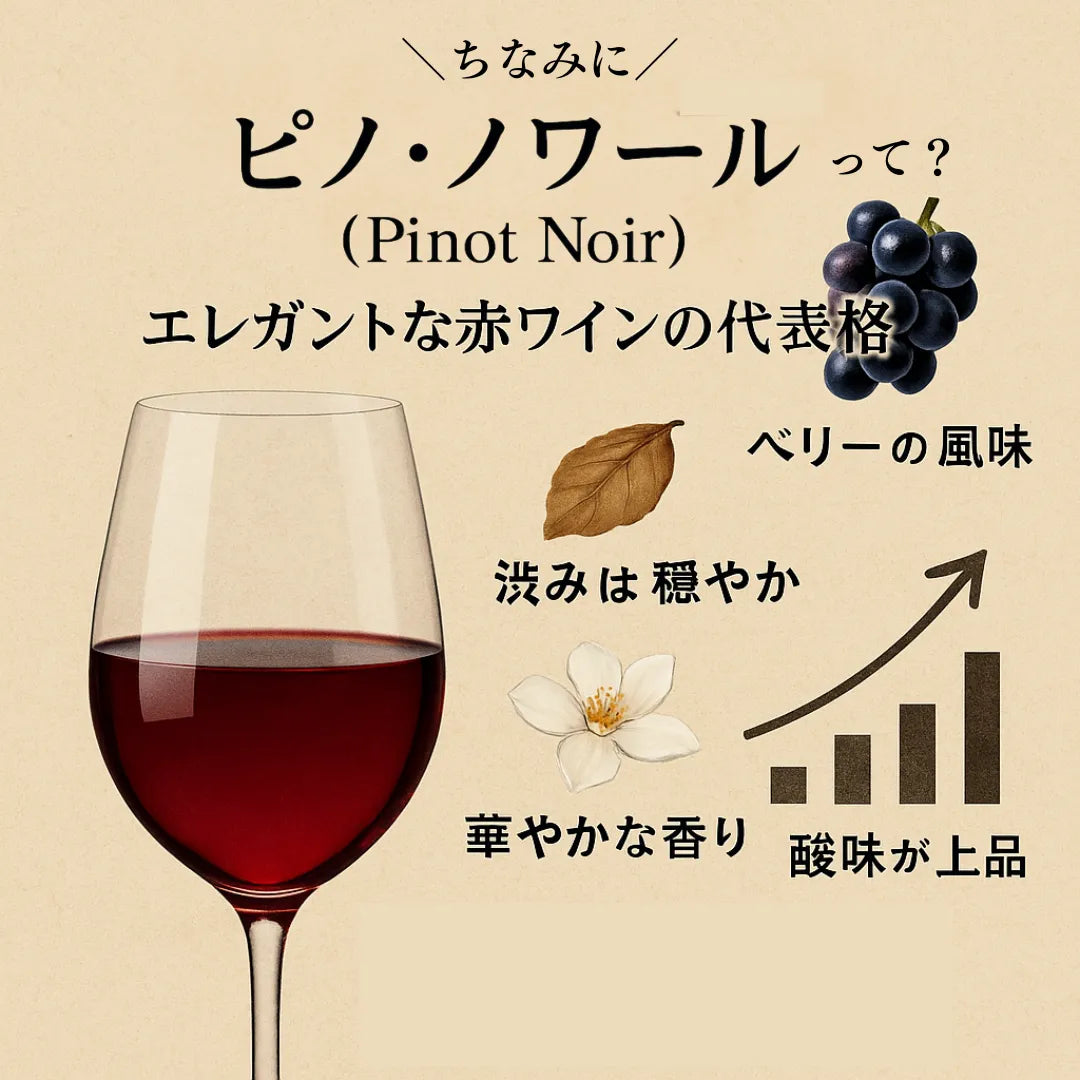 [送料無料】 まとめ買い特価 ララ・ネアグラ6本セット(ギフトボックス無し)