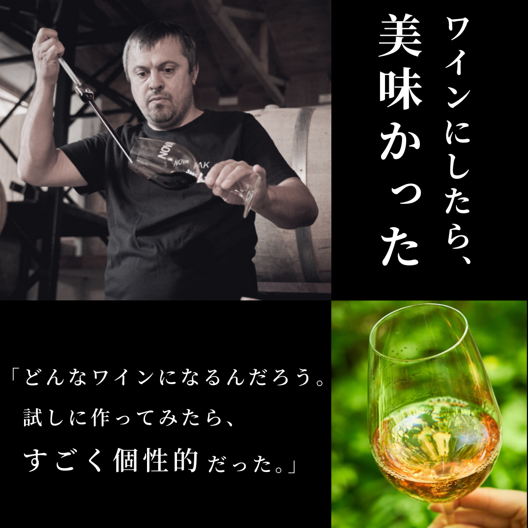 [送料無料】 まとめ買い特価 アルブ・デ・オニツカニ6本セット(ギフトボックス無し)