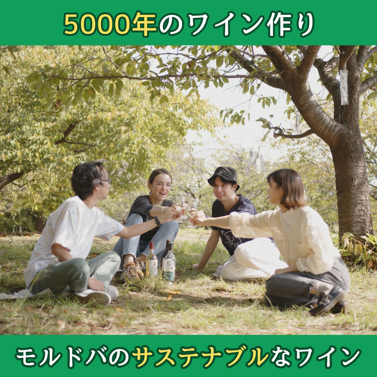 NOVAK サペラヴィ/フェテアスカ・ネアグラ(赤・ドライ)