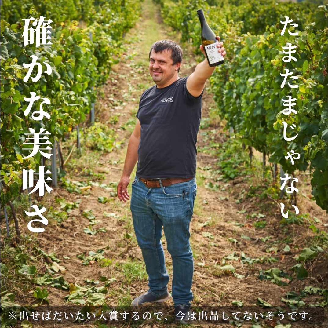 [送料無料】 まとめ買い特価 アルブ・デ・オニツカニ6本セット(ギフトボックス無し)