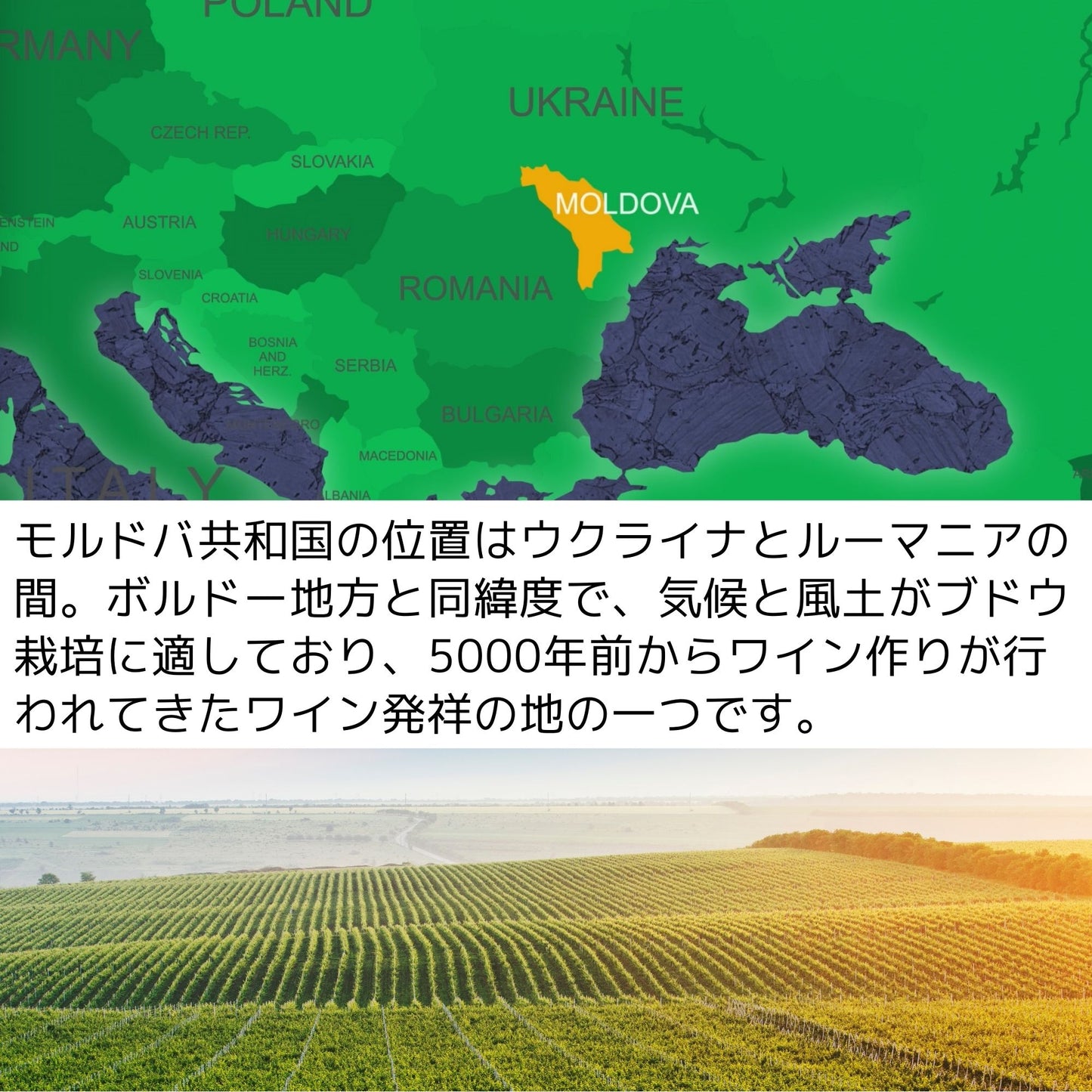 【送料無料】モルドバを代表する土着品種100%の赤白3本セット