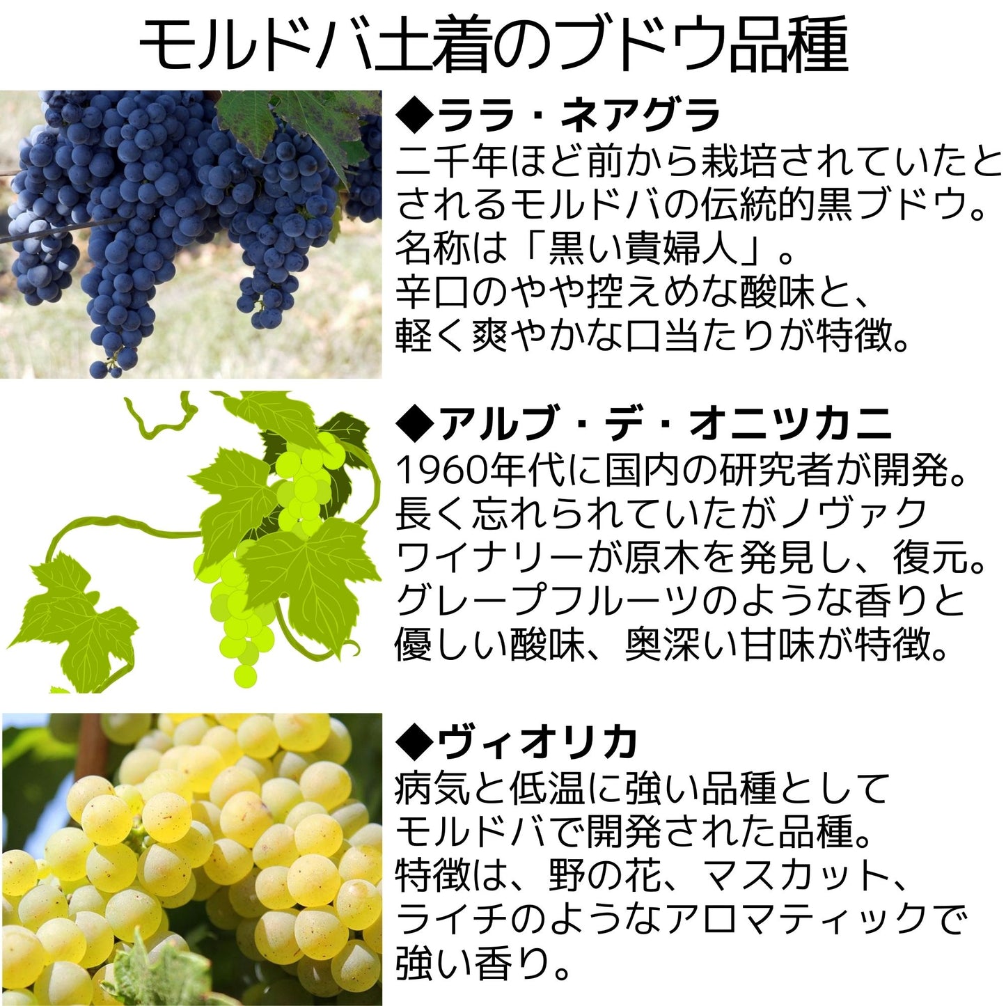 コンテストで賞を獲ったモルドバワインセット