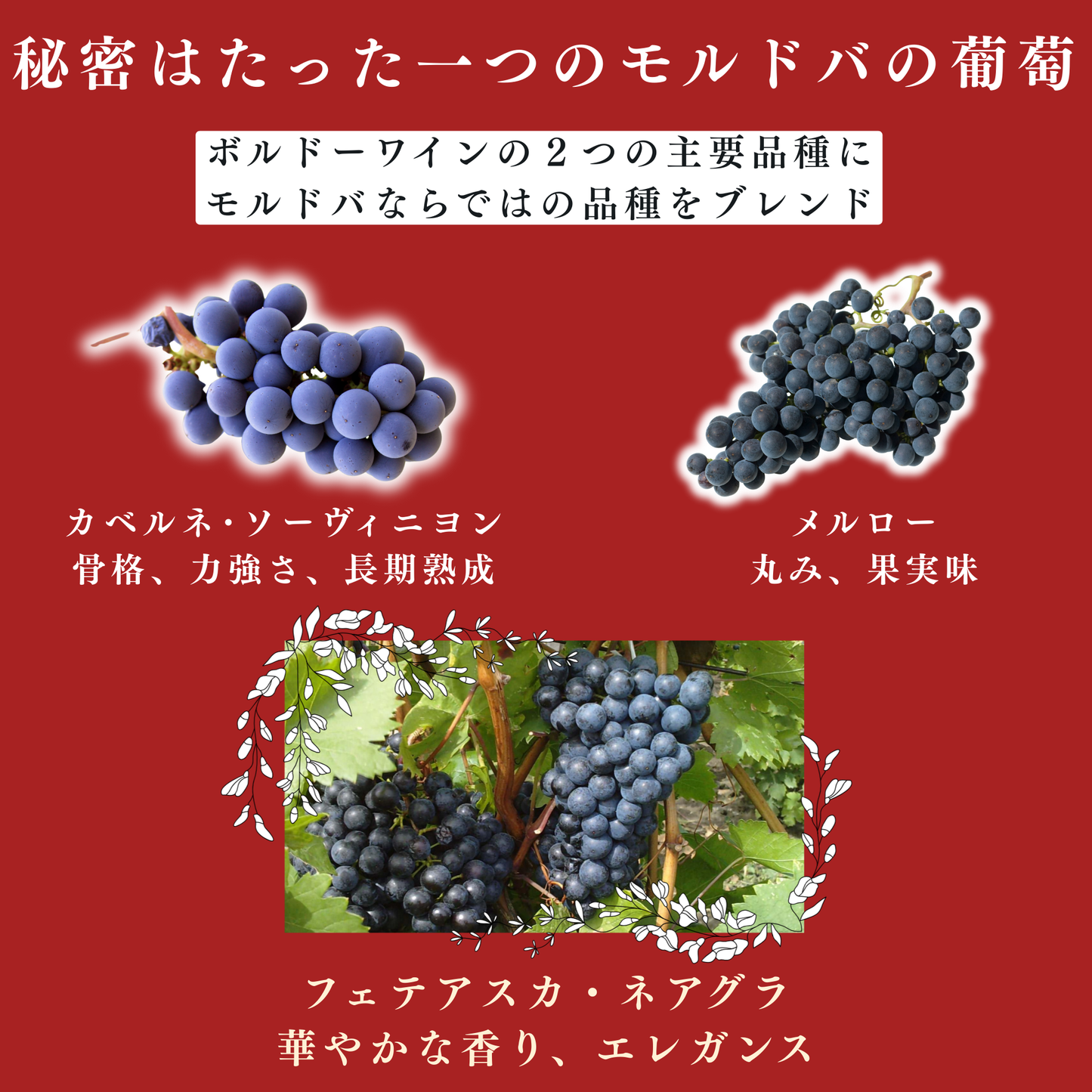 【季節の特価ワイン】KAZAYAK ロス・デ・カザヤック3本セット