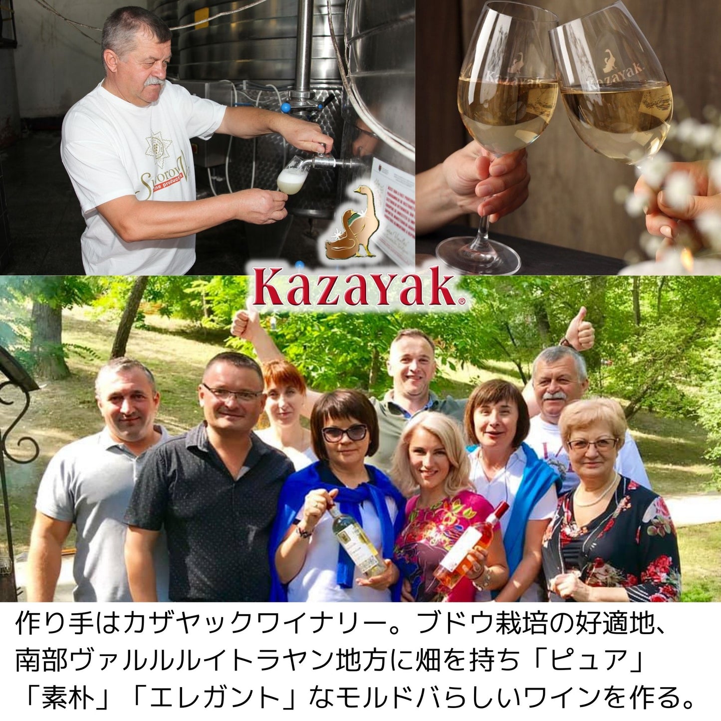 カザヤック PREMIUMブレンドワインセット