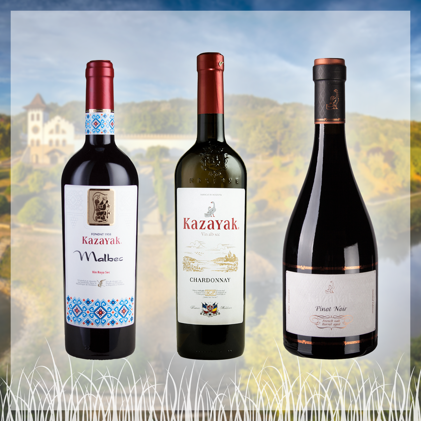国際品種で作ったモルドバワインセット
