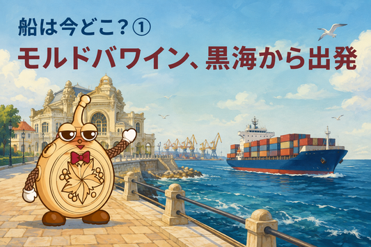【船は今どこ？① 】チョトラのワイン、黒海を出発しました