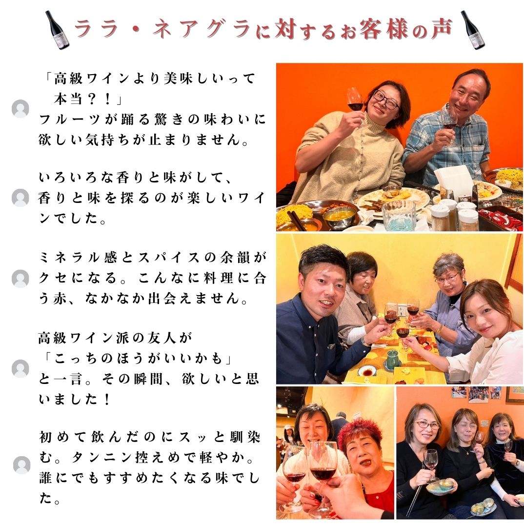 【送料無料】モルドバを知る最強の5本セット （白1本赤3本ロゼ1本）