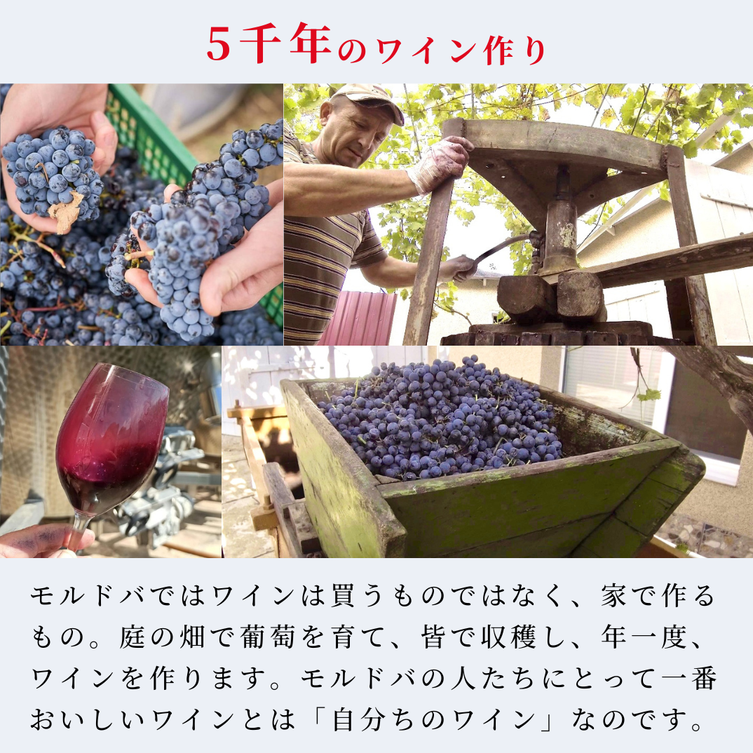 飲むフルコース　赤ワイン３種盛り