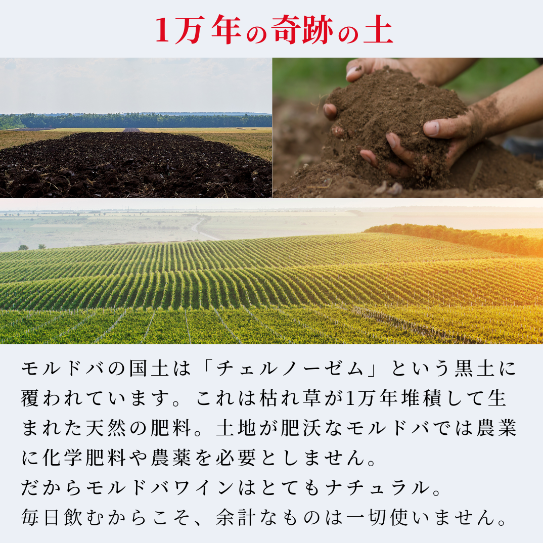 飲むフルコース　赤ワイン３種盛り