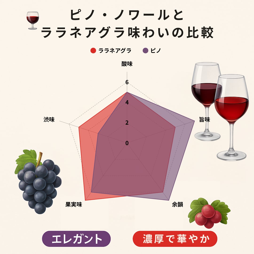 飲むフルコース　赤ワイン３種盛り