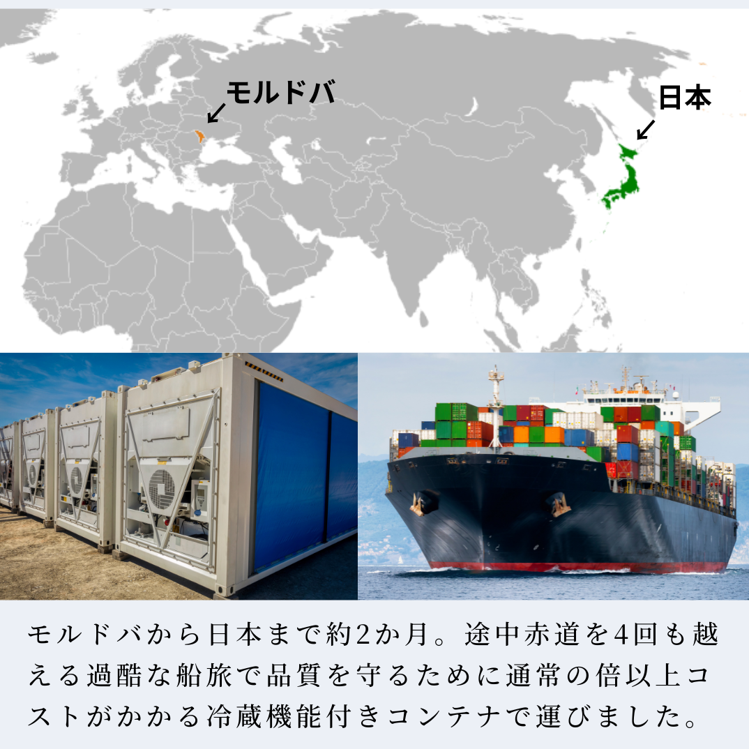 飲むフルコース　赤ワイン３種盛り