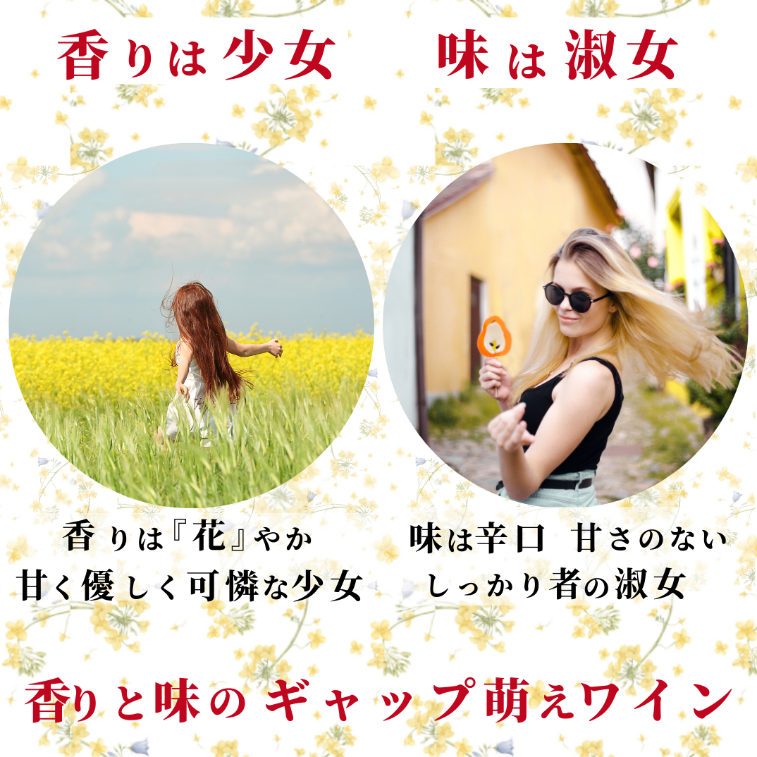 モルドバを知る最強の3本セット