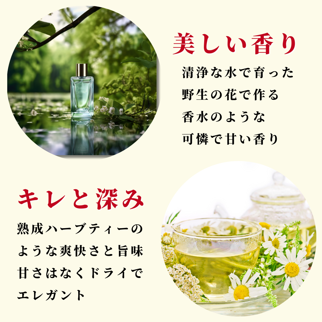 モルドバを知る最強の3本セット