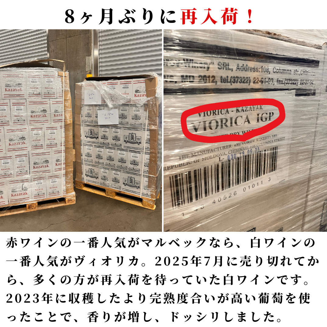 【再入荷】MALBEC（マルベック）12本セット（ギフト箱対象外）