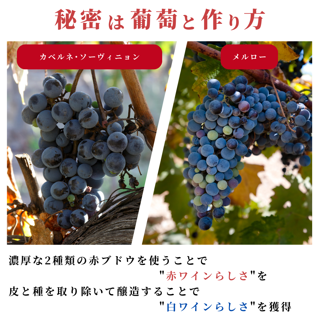 モルドバを知る最強の3本セット