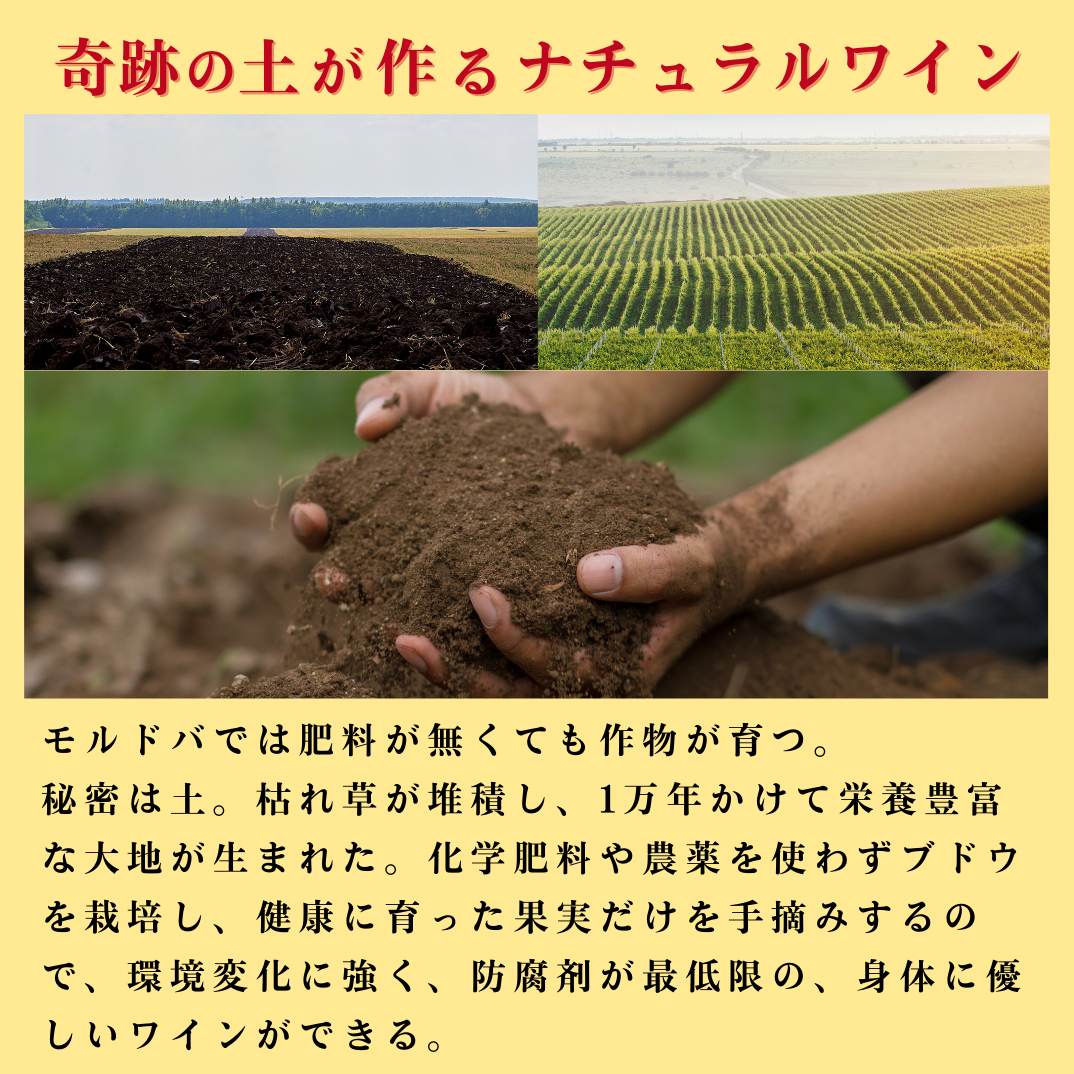 【再入荷】MALBEC（マルベック）3本セット