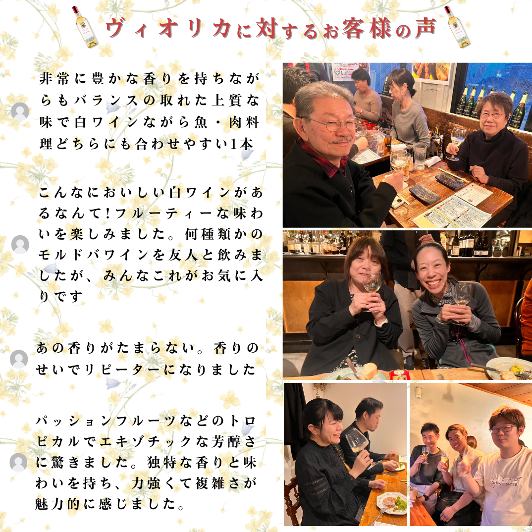 【ポイント倍】VIORICA（ヴィオリカ）3本セット