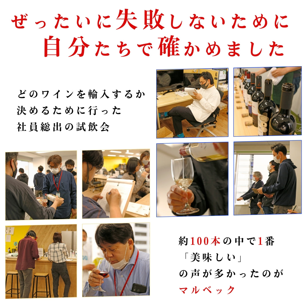 【952pt付与・送料無料・1770円お得】モルドバが薫る黄金の赤白6本セット