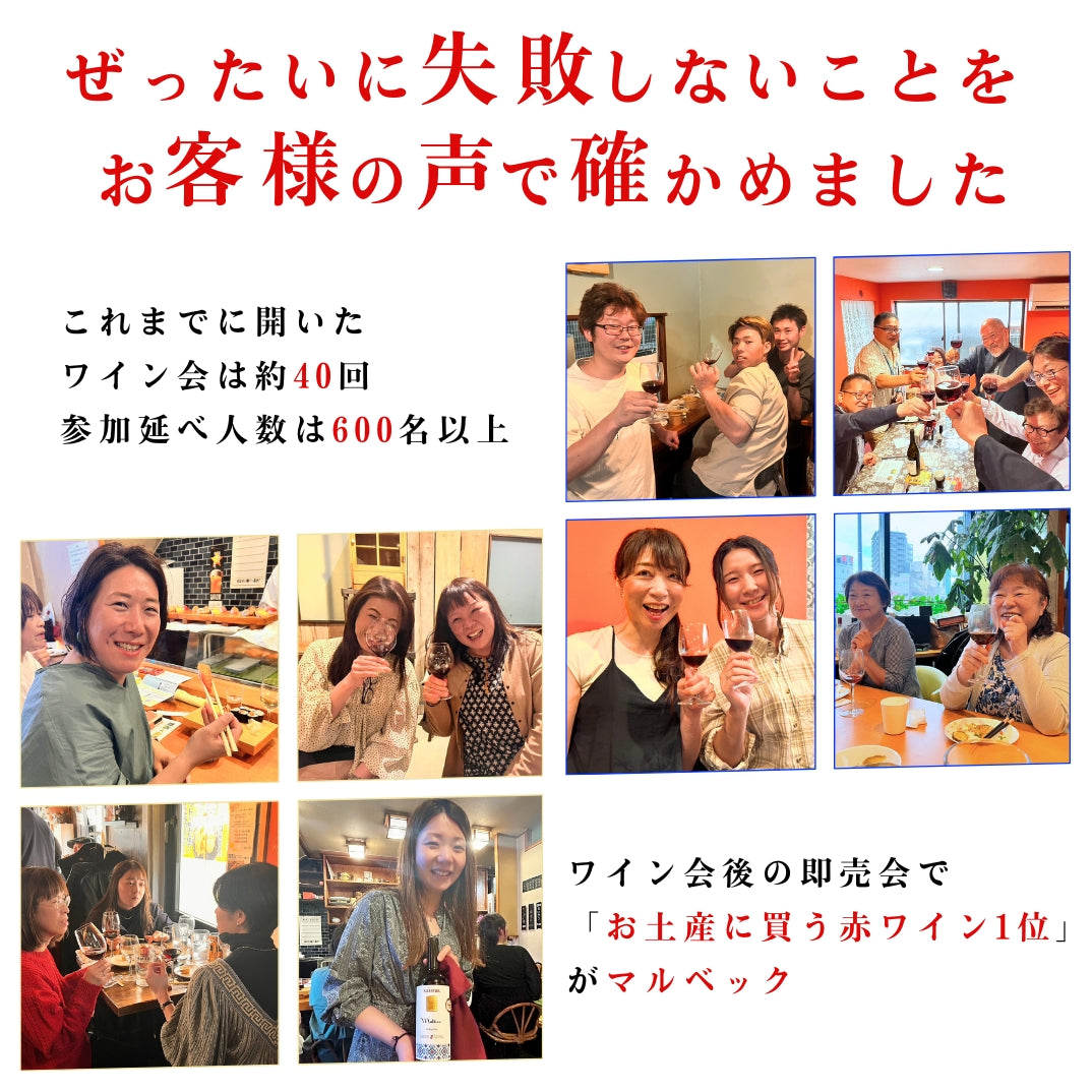 【952pt付与・送料無料・1770円お得】モルドバが薫る黄金の赤白6本セット