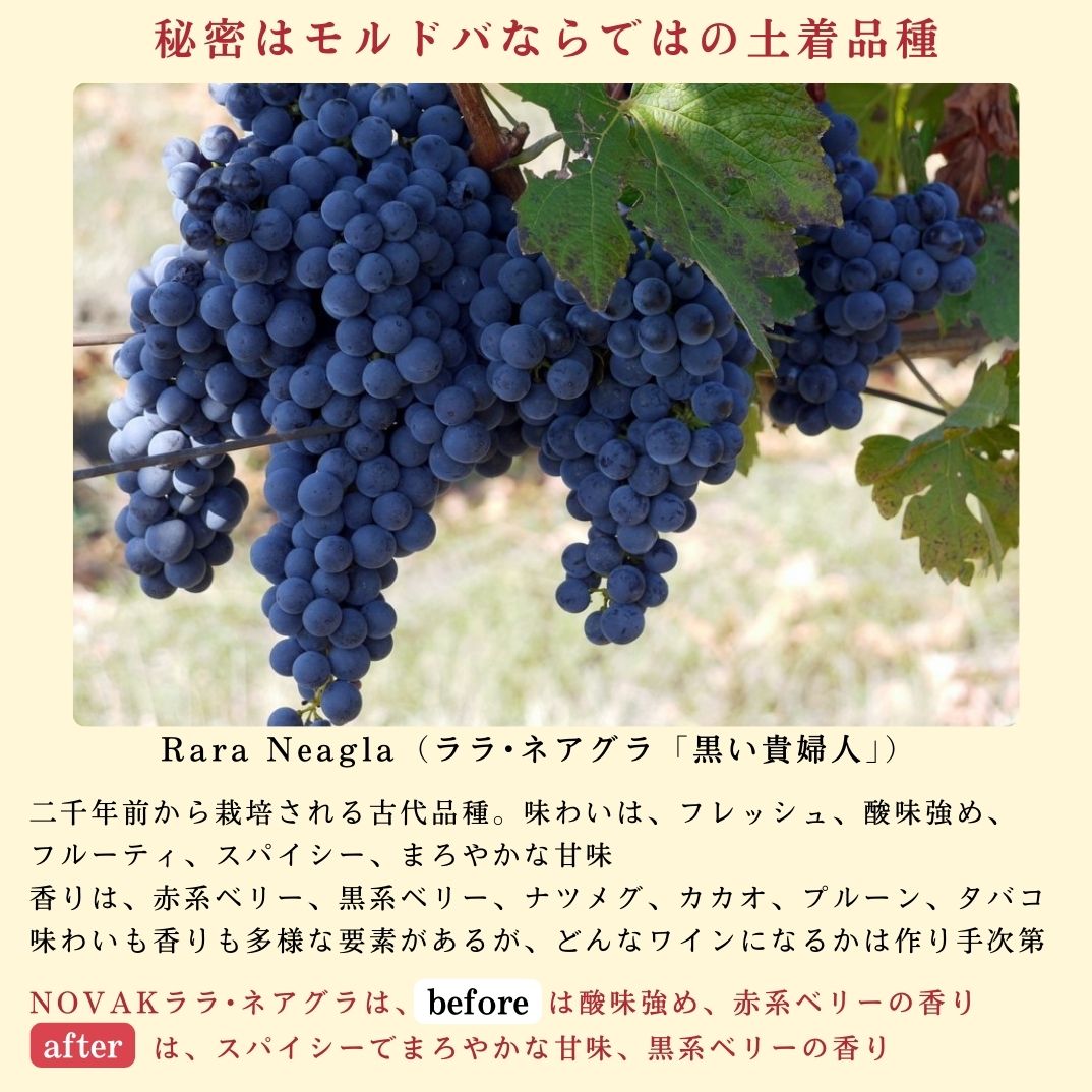 飲むフルコース　赤ワイン３種盛り