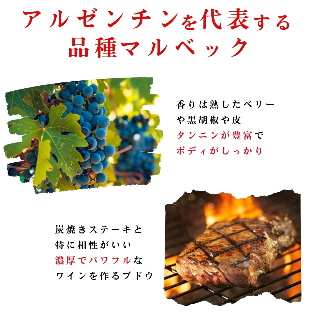 【952pt付与・送料無料・1770円お得】モルドバが薫る黄金の赤白6本セット