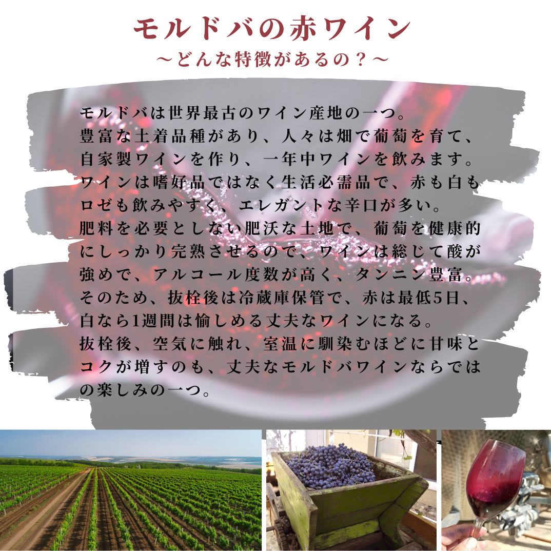 飲むフルコース　赤ワイン３種盛り