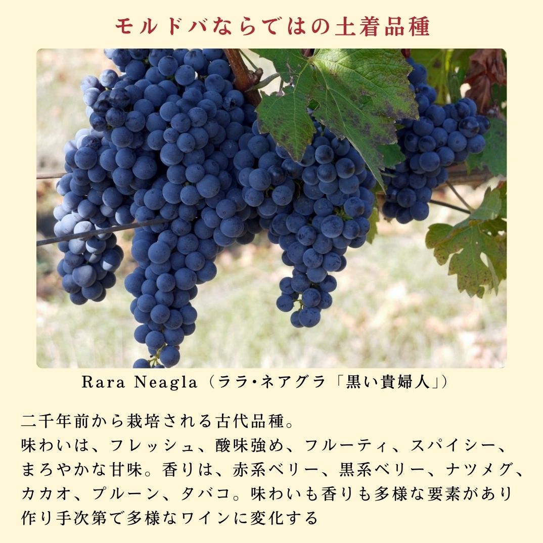 【3000円お得・送料無料】飲む前から勝ちが決まってる５本セット