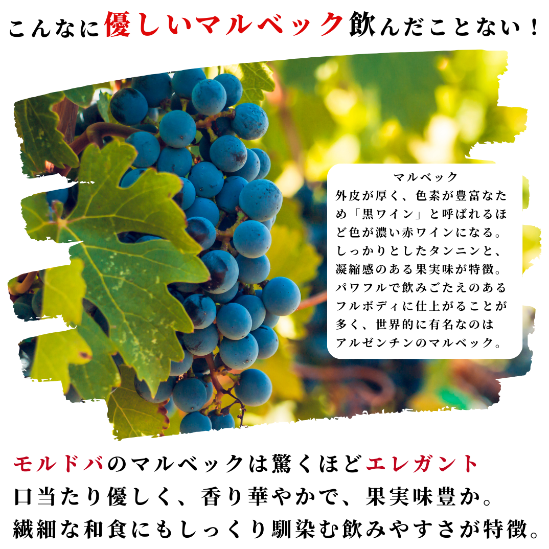 モルドバを知る最強の3本セット