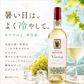 【ポイント倍】VIORICA（ヴィオリカ）3本セット