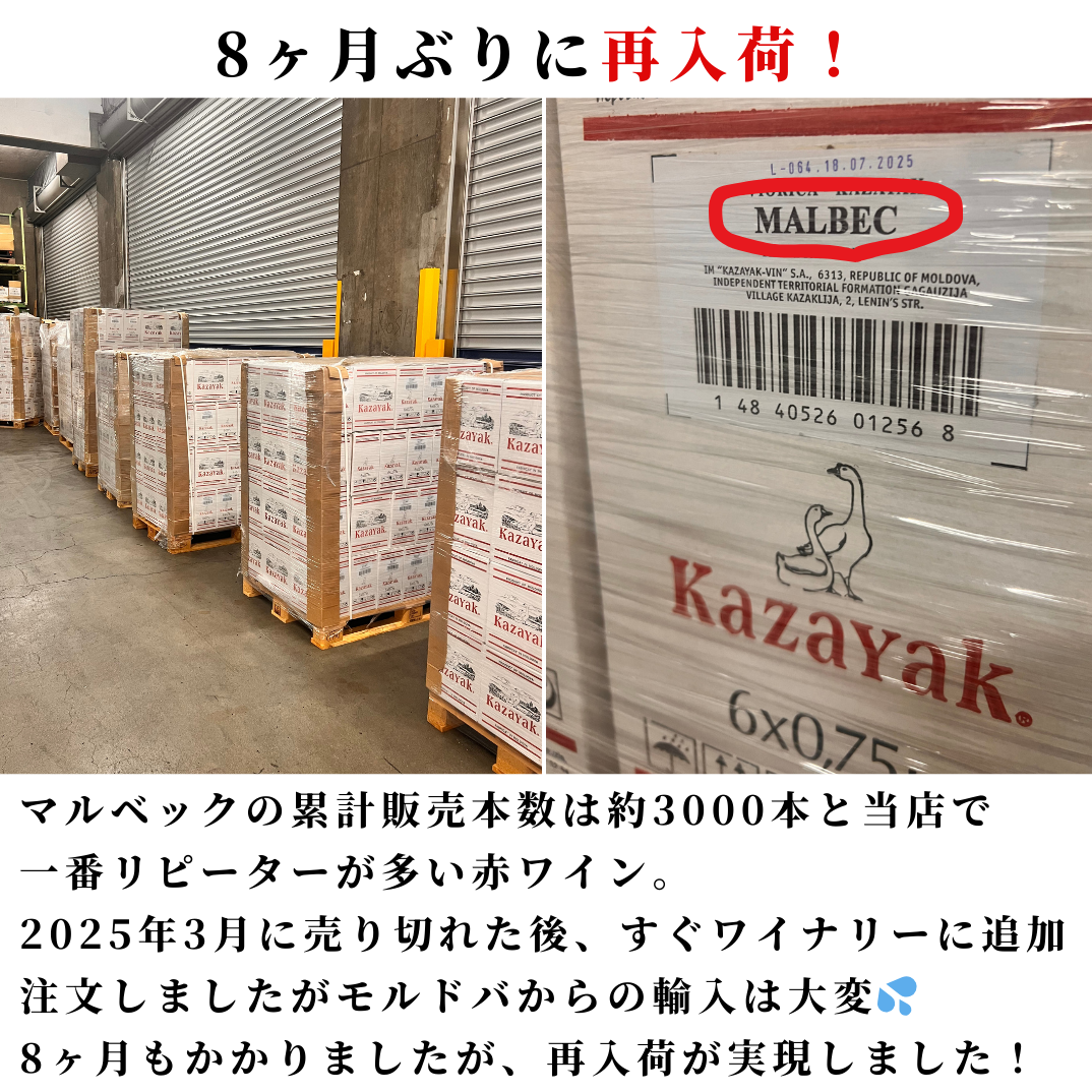 モルドバを知る最強の3本セット